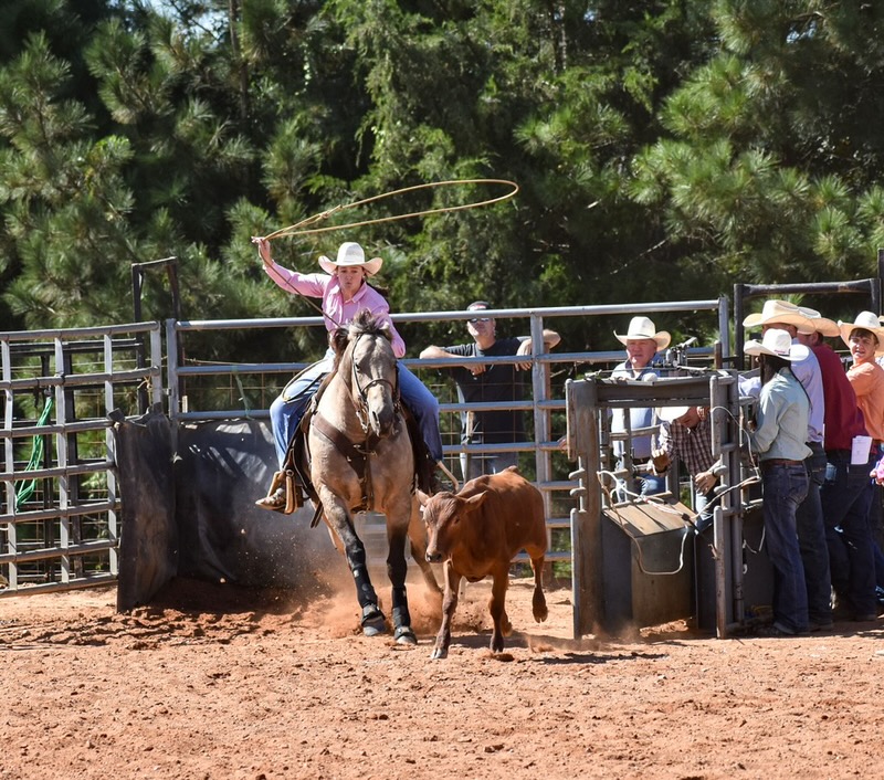2025 Jr. Rodeo Queen — JoJo Frost